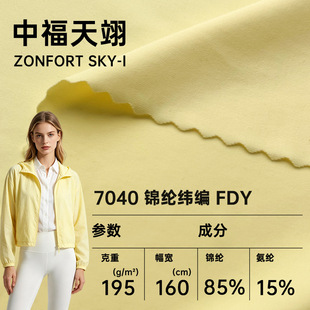 7040�\�]����FDY �\���ߏ�ᘿ��� �������٤���\�Ӄ���Ӿ�b����