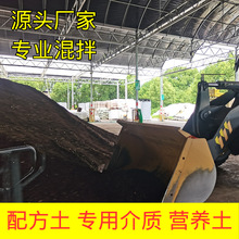 ���l�Nֲ�䷽���I�B��̿���������ݮ�o������Gֲ�@ˇ�ЙC