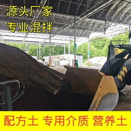 花盆容器;栽培基质;花盆装饰