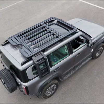 platform ladder side window small: Roof rack