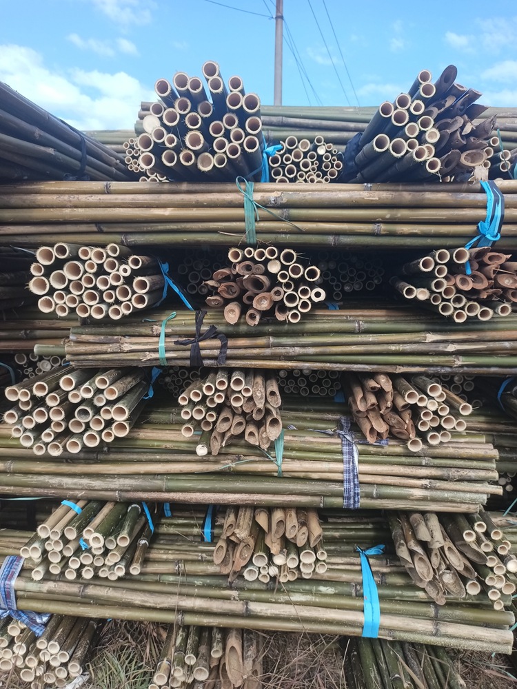 微信图片_20220804172815