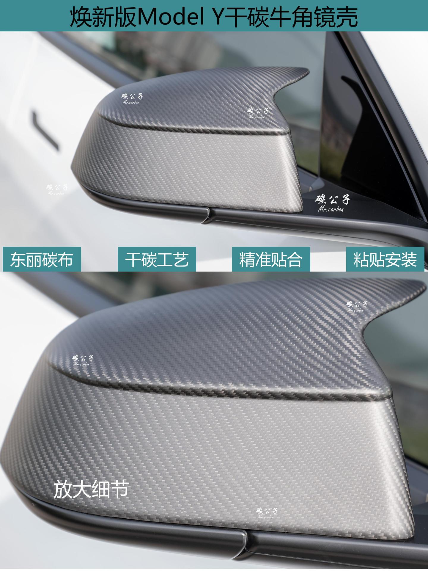 Carbon Prince Is Suitable for Tesla's New Version Model 3Ysx Carbon Fiber Rearview Mirror Shell Reversing Horn Tesla
