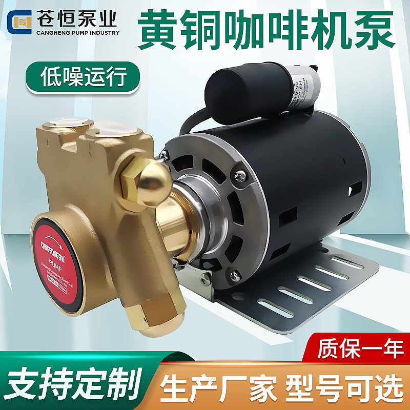 Coffee Machine Pump Brass Booster Pump Head 220V Coffee Machine Dc High-Pressure Vane Pump Graphite Rotor Pump Wholesale Coffee Machine Pump Brass Booster Pump Head 220V Coffee Machine Dc High-Pressure Vane Pump Graphite Rotor Pump Wholesale