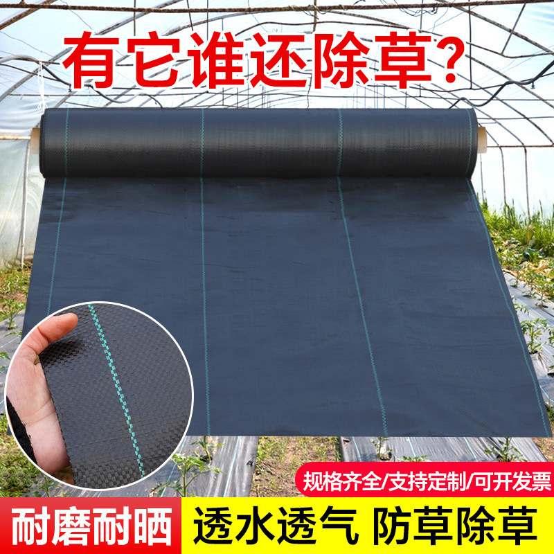 除草布园艺地布果园果树打孔切片防草布透水透气加厚盖草布防草布