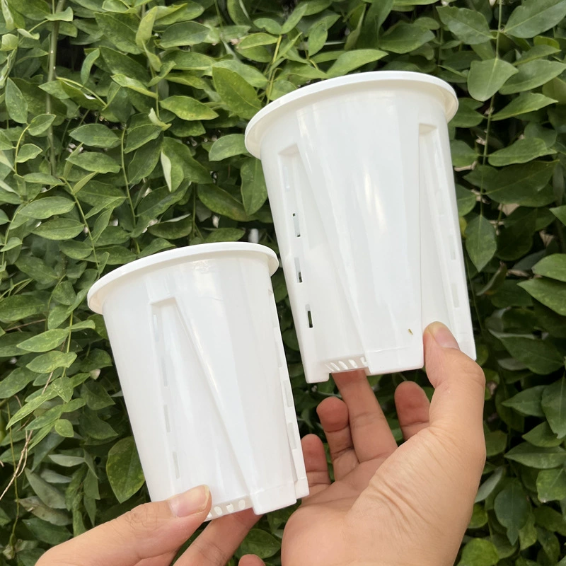 Белый корень с колонкой воздуха Циншань цветочный горшок проницаемый для воды, не гниет корень утолщает пластиковые орхидеи корень горшок оптом