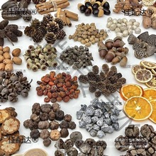 ľƬֲ̫˱ɹdiyɻϰֹ