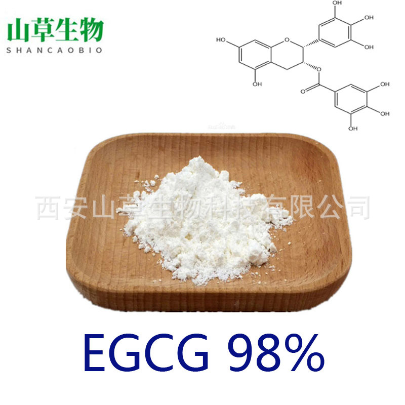 95% EGCG 绿茶提取物 表没食子儿茶素没食子酸酯