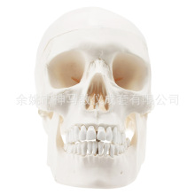 ���w�^�B����Ȼ�����ģ�Ͱ�ɫ�^���°Ϳɻ�ӷ���ģ��