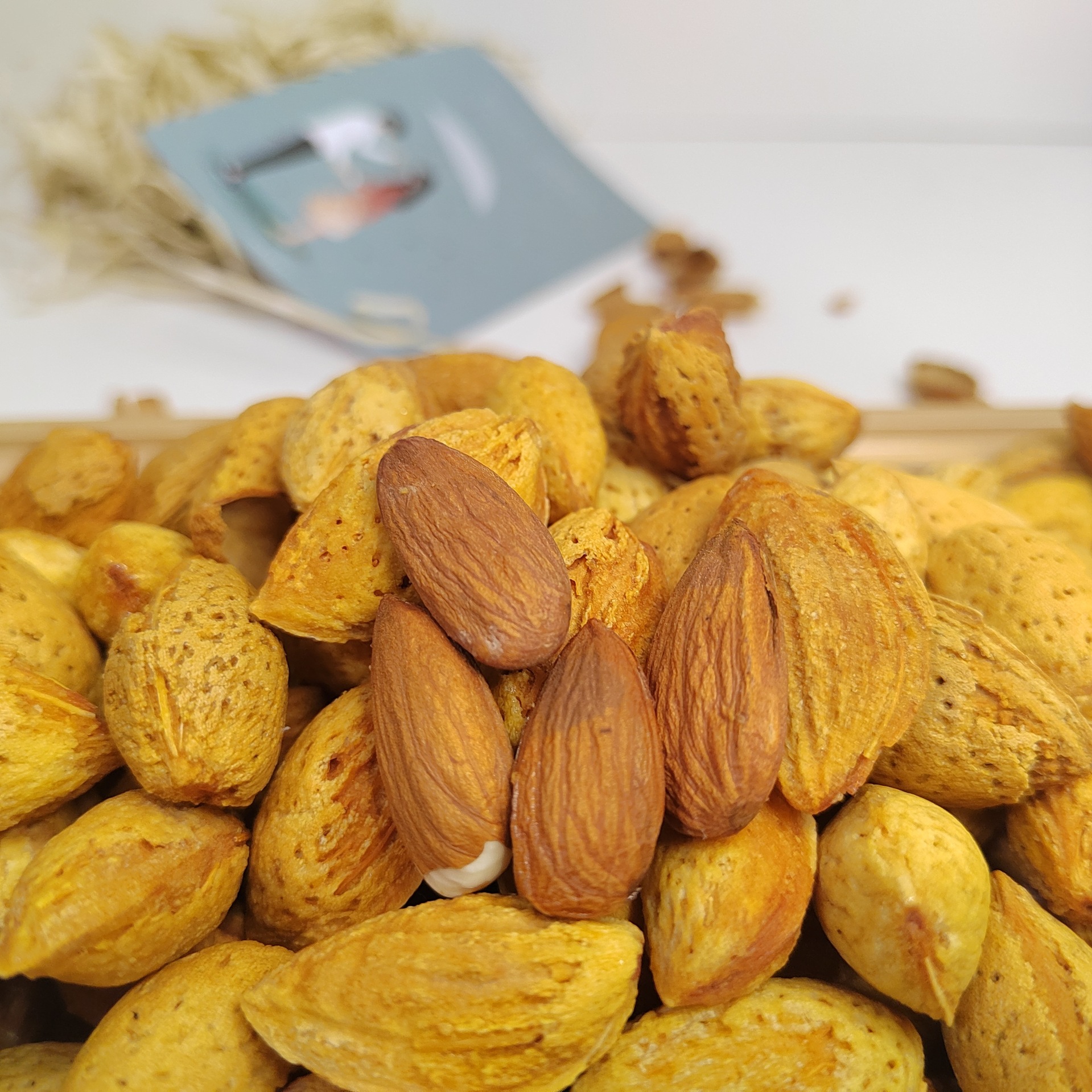 微信圖片_20221225221407_副本