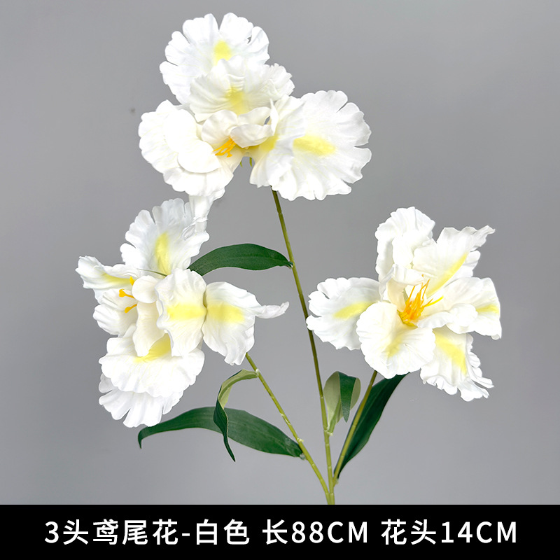 3 flores de iris (nuevo estilo)