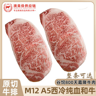 M12A5��Ѫ��ţ����ţ��ԭ�й��˪��ѩ��ţ��ѩ���߶˾Ƶ�����
