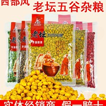 西部风老坛五谷杂粮鲫鱼窝料发酵玉米麦粒野钓草青鱼打窝钓鱼饵料