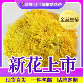 金丝皇菊茶黄山大朵黄菊干花瓣花茶一朵一杯源头工厂散装量大价优