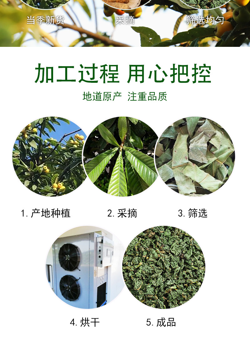 Loquat Leaf Tea (Eriobotrya japonica) — Dried Herbal Tea Granules, 500g Bulk Loose Leaf preparation