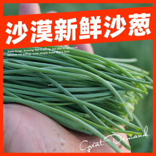 ����S���f��ɳ�[���r���C�����خa�Fժɳ�[5�����r�߲˱������b