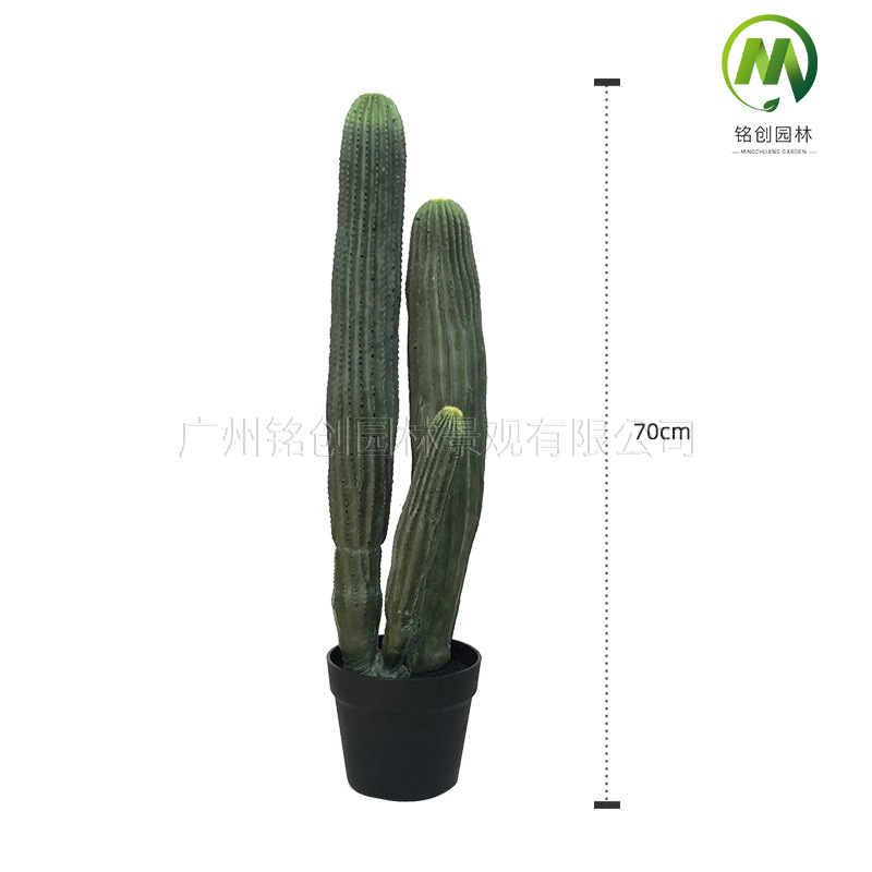 Decoración de paisajismo de plantas falsas en el desierto tropical image 22