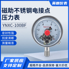 P늽cYNXC-100BFˮ1mpaʽĤ