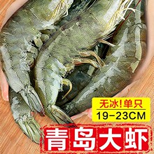 ���r�r������r���u���r�ش����r�ك����r�r��r2030�}���r
