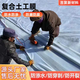 两布一膜复合土膜河道治理水蓄水池防渗复合土工膜生产厂家