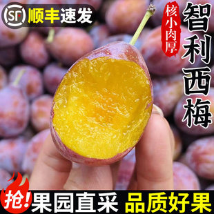 ��S������÷���rˮ��5���b���m���������Ӵ����������Fժ�F�l