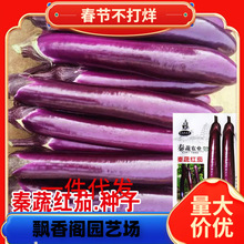 һ�����l���L�ѷN���ϼtɫ�t��������ӷN���ļ��������r����@��