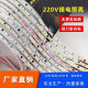 220V Soft Light Strip 2835 High Voltage Driver-Free Linear Light 8mm Cuttable Patch Light Strip Self-Adhesive Led Light Strip