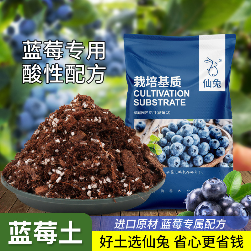 Blueberry Special Soil Nutrient Soil Potted Acidic Soil Planting Soil Peat Soil Loose Breathable Organic Flower Soil Flower Mud