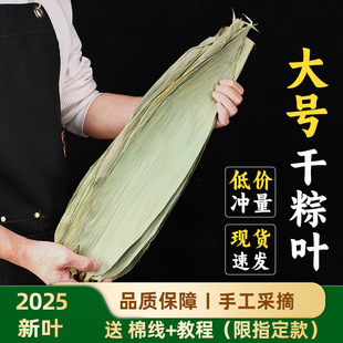 �S�ҹ�����̸����~50Ƭ100Ƭ�b�����~���~�����~�����~�V�����~