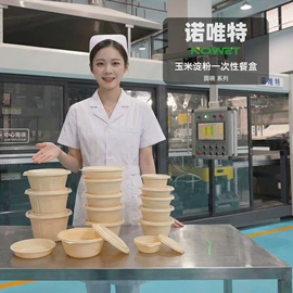 可降解餐具;一次性餐盒