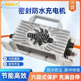 电池充电器;电动车充电器;平衡车