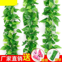 ���l���üٻ��b��{ˮ�ܵ��ٗl�ړ����~�G�}��������bGֲ