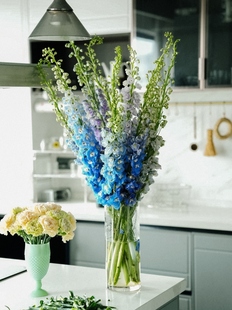 Dafei Delphinium Flowers Yunnan Straight Hair Dafeiyan Flowers Home Water-Raised Flowers Free Shipping by Sf Express