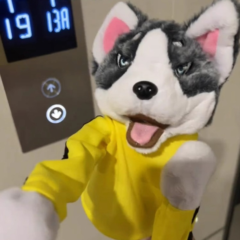 Cross-border children plush boxing husky net red doll interactive trick two ha children toy gift hand doll