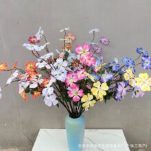 ���滨�w�m��ľ�ۻ���c��Y�ò����b�����@�͏d�����Ҿ��b�