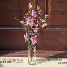 绿植水培新鲜桃花枝真花遇水开花干支花红梅腊梅干枝插水开花泡水