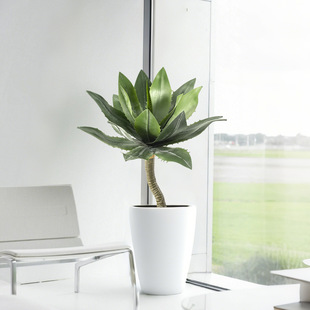 �Ꭷ�Gֲ��߅�����mɳĮֲ���쾰�b�����ޥ�m�~�G���٘䄦�����l