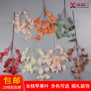 ��c�Gֲ���X�~�ȼ����O���~�q�~�����~�b��߻�Y�ò廨�~