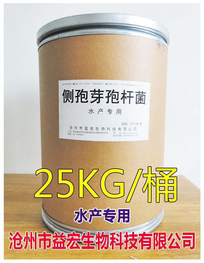 侧孢芽孢杆菌 水产专用 控藻降低氨氮亚硝酸盐青苔净水鱼虾蟹海参