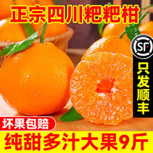 �Ĵ���Ҋ�ҰҸ����θ�9�����������𮔼��������rˮ����̽���؛