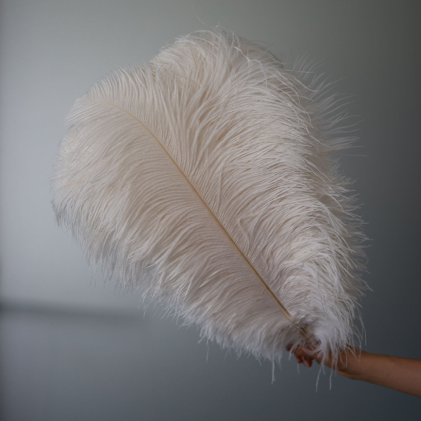 Fabricantes de pelaje de avestruz 50 - 55CM boda guía de la mesa flor de plumas de avestruz adornos de red pared roja plumas de espectáculo de escenario image 4