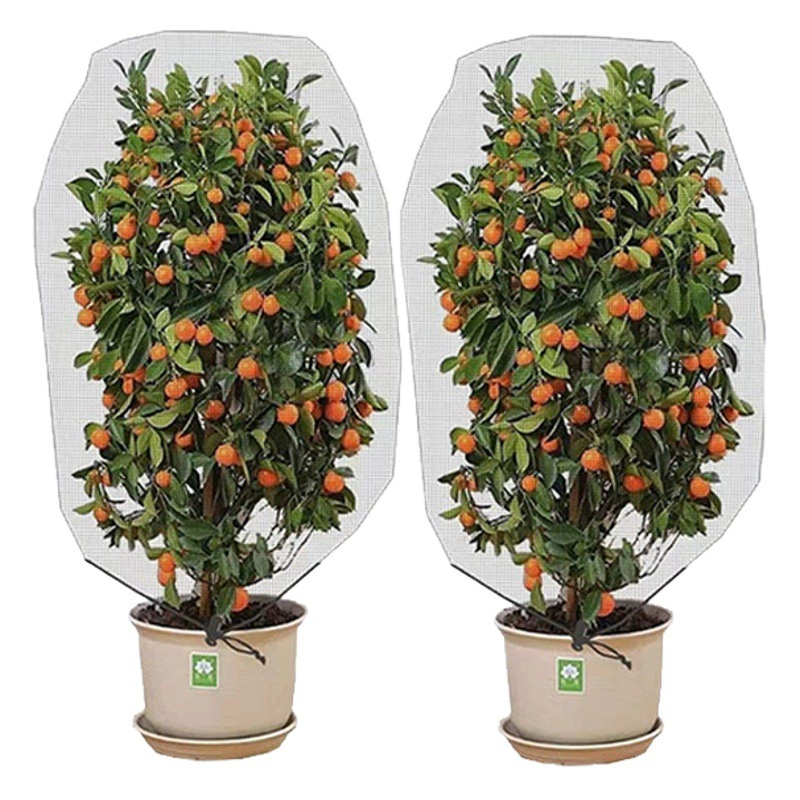 Трансграничные горячие продажи растений сетчатый мешок для защиты от насекомых