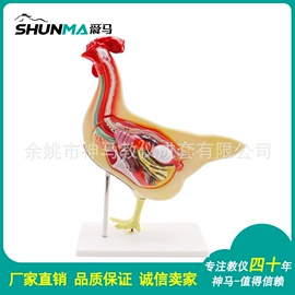 数理教学器材;生物教学器材;教学仪器