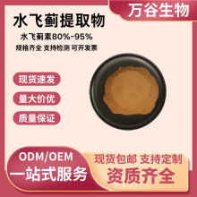 水飞蓟提取物10:1素80%~95%奶蓟草Silymarin多规格食品级护肝原料