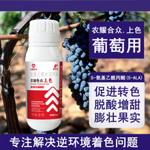 葡萄上色药巨峰葡萄膨大增甜剂增糖硬果着色剂脱青转色剂营养液肥