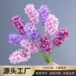 ���R�d���N�����L���ӻ�c�Ҿӽ����w���·����Y�õ�픲廨�ٻ�