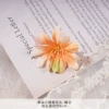 WXH-Single small daisy flower head-orange core