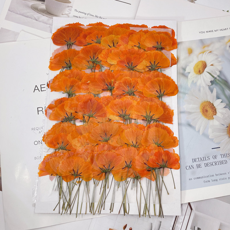 微信图片_20220919171247