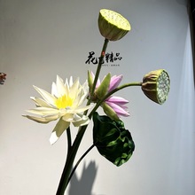 ɏ����~�ɻ�˯ɏܛ�bˮ���b�Ʒ�辰ˮ�ز廨�U��ٻ�