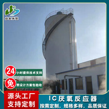 IC厌氧罐反应器供应厌氧罐厌氧塔厌氧反应装置臭氧三相分离器