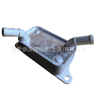 car radiator for Asia Lion